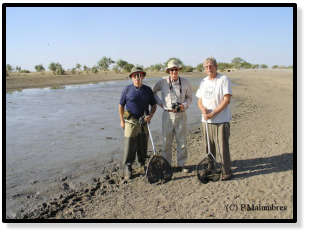 Malumbres,Watters and Willdekamp in another  pool in TChad. possibly habitat of  some Nothobranchius specie but  too dry  already