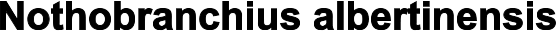 Nothobranchius albertinensis