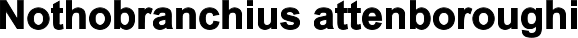 Nothobranchius attenboroughi