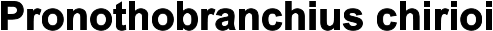 Pronothobranchius chirioi