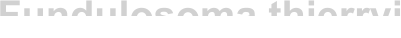 Fundulosoma thierryi
