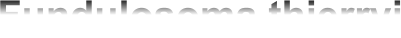 Fundulosoma thierryi