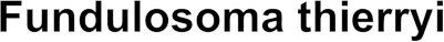 Fundulosoma thierryi