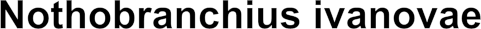Nothobranchius ivanovae