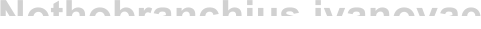 Nothobranchius ivanovae