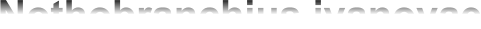 Nothobranchius ivanovae