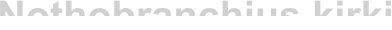 Nothobranchius kirki