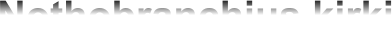 Nothobranchius kirki