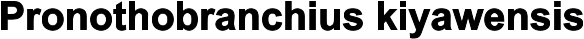 Pronothobranchius kiyawensis