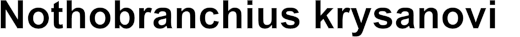 Nothobranchius krysanovi