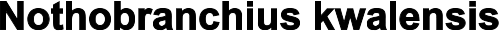 Nothobranchius kwalensis