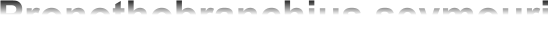 Pronothobranchius seymouri