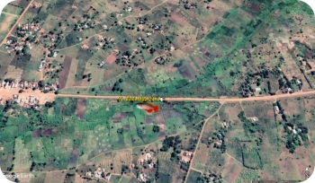 Location map  N. kirki MW 24-4PLR 