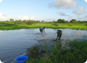 N.jubbi KF 23-5 habitat