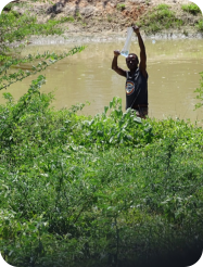 N. microlepis KF 23-6 Tana River South and N.jubbi kf 23-6 Tana River South Habitat