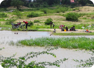 N. microlepis KF 23-6 Tana River South and N.jubbi kf 23-6 Tana River South Habitat