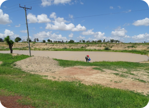 Habitat of N.elongatus KF 23-8 Mwanzoma
