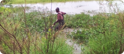 David Alila Biotope in the Mbezi River basin