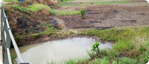 Biotope in the Mbezi River basin