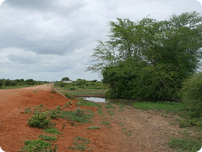 Location MZGV 12-1 (Same 2006 and 2011). N.furzeri 