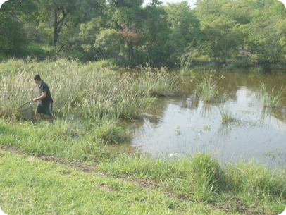 Biotope MZGV 12-4