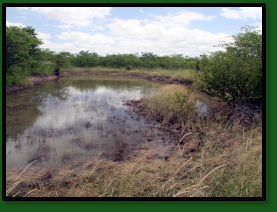 MZCS08-09 – Limpopo basin, fish typically in deeper water!( furz, ortho)