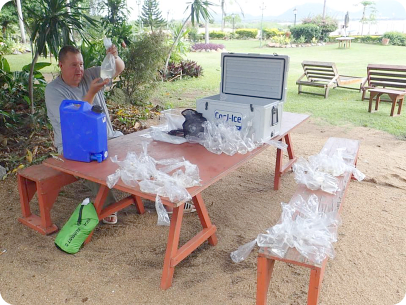 Sorting collected fish