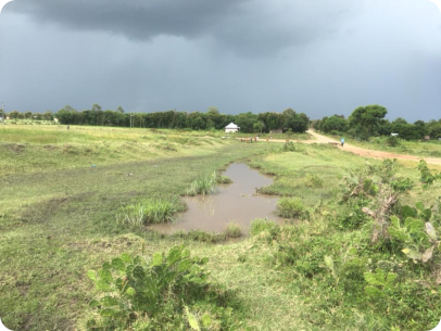 Near Nata
