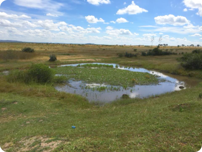 Nata, Tanzania