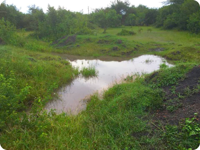 Near to Nata town