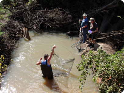 Collecting in one of the biotopes