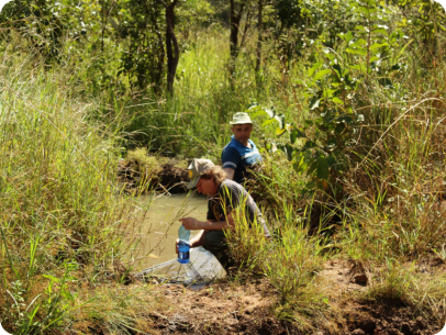 Collecting in one of the biotopes