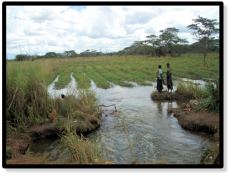 Huge Floodplain at the Kabungu River-DRCH-2008-07