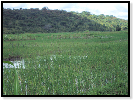 DRCH-2008-09-Bukeya-Floodplain