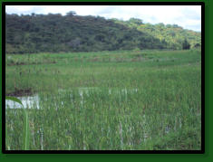 DRCH-2008-09-Bukeya-Floodplain