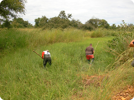 Biotope 2