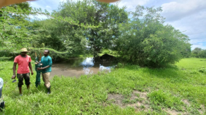 Liwonde biotope