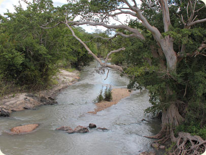 Rungwa river