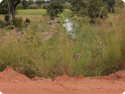 location TNT 2014-11