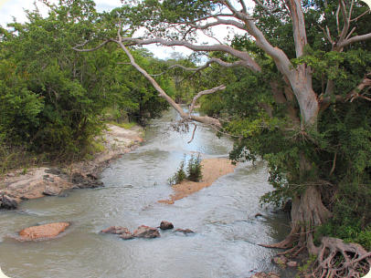 Rungwa river