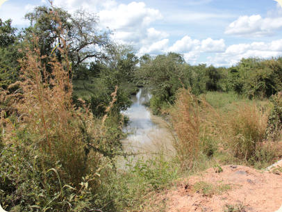 location TNT 2014-05