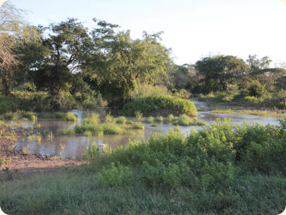 TNT 2014-15 Ntokamundi river