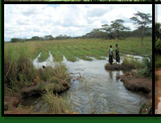 Huge Floodplain at the Kabungu River-DRCH-2008-07