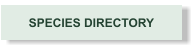 SPECIES DIRECTORY